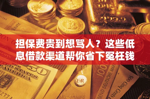 济南担保费贵到想骂人？这些低息借款渠道帮你省下冤枉钱